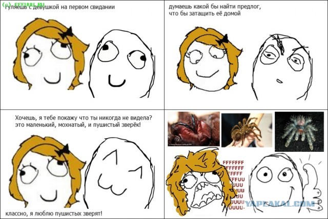 Никогда не убивай паучков в ванной!
