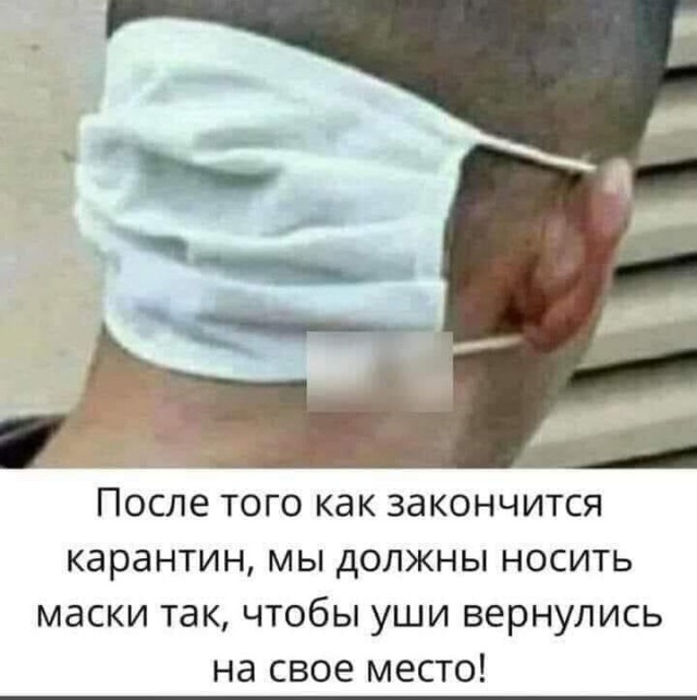 Чуток картинок 25.06.20