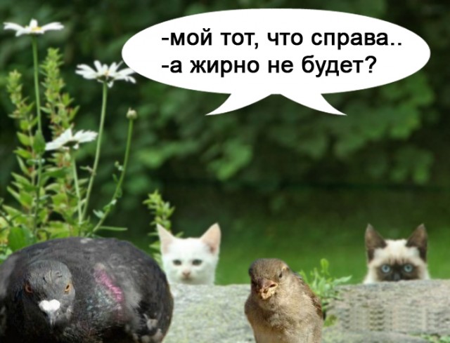 Диалог
