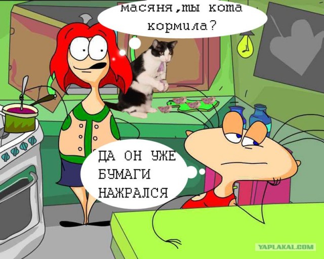 кот Матроскин и счёт за интернет