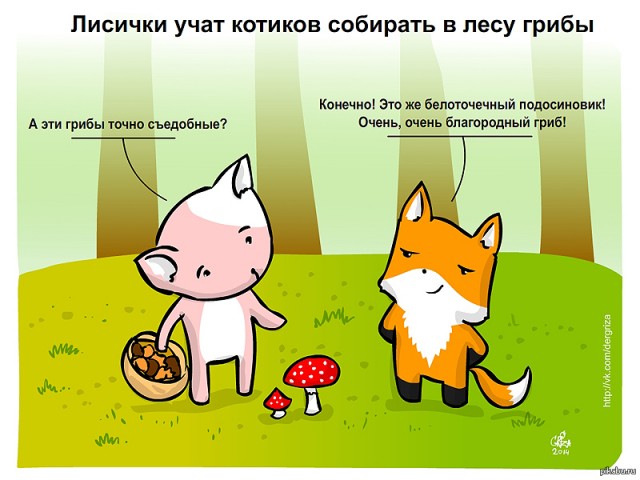 Лисички, картинки