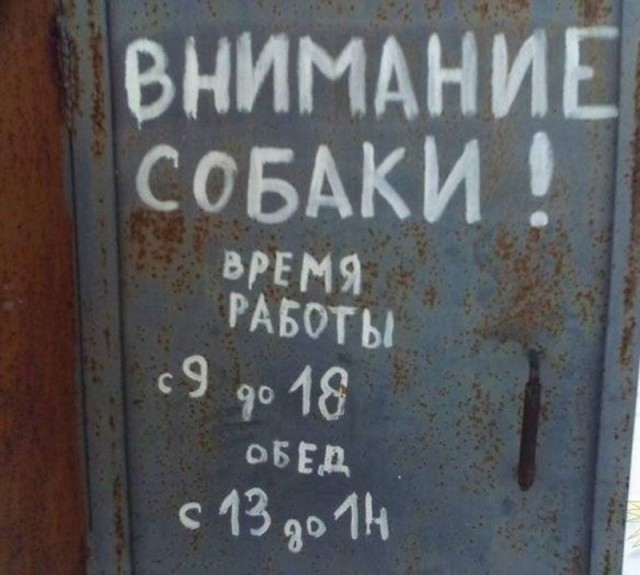 Перлы 08.02.2021