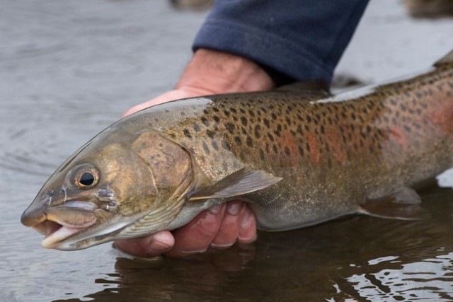 Нас лишили нормальной рыбалки и отдыха