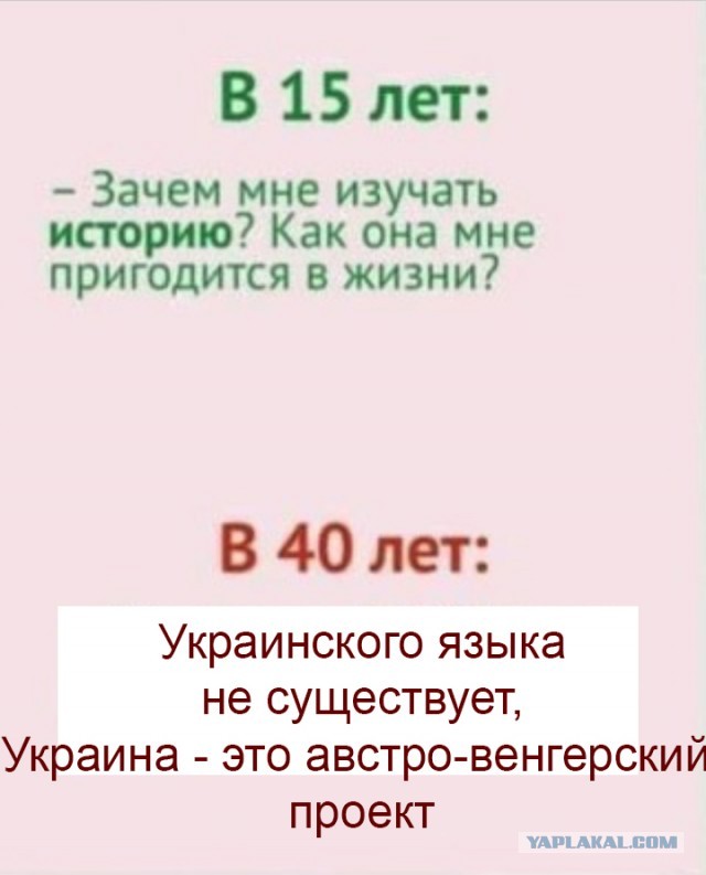 Всё так. Великие, прекрасные и свободные сидят без работы и ругают власть за свою лень