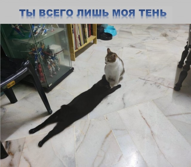 Картинки с надписями и всякие жизненные фразы 5.06.21