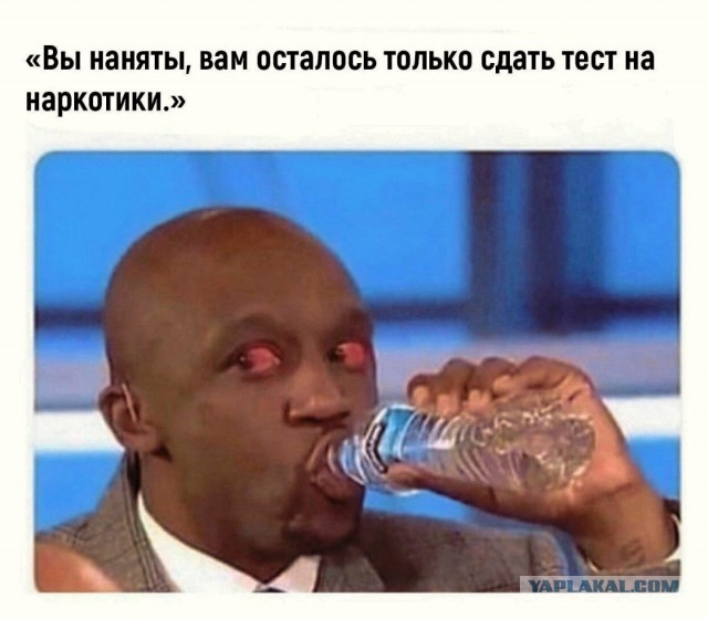 Разной степени баянности пикчи