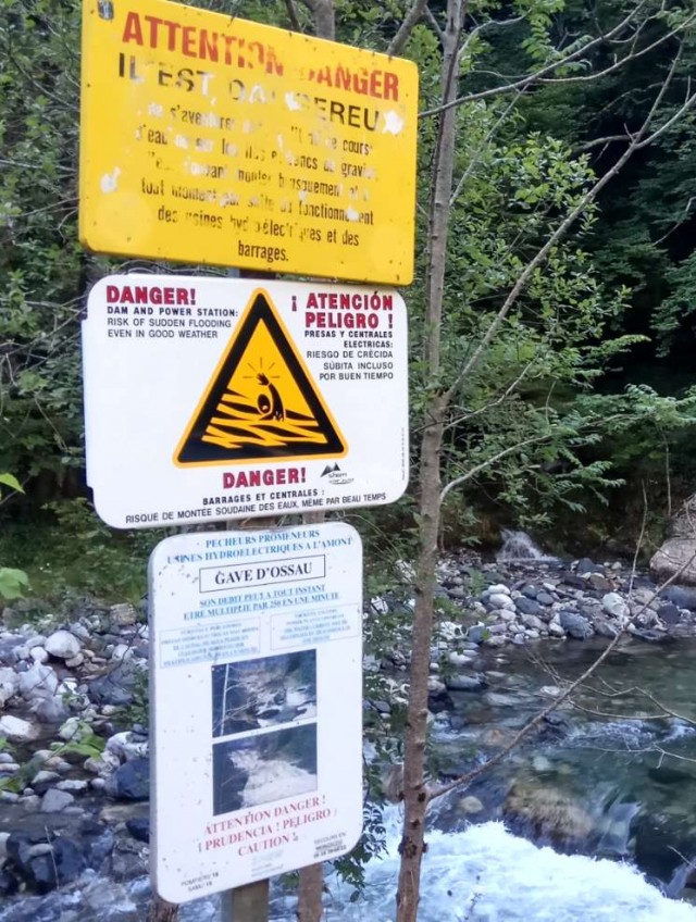 Ничто не предвещало беды...