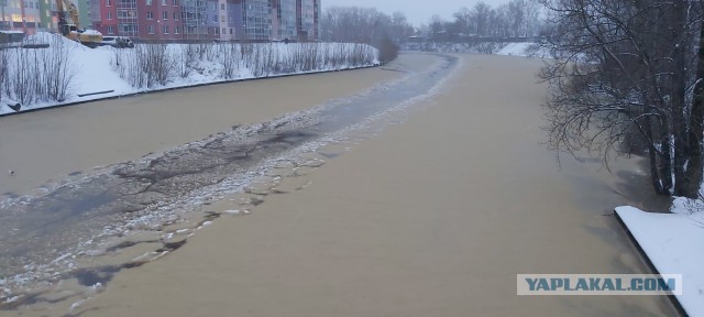 Последнее фото