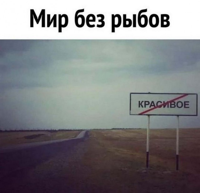 Забавные комментарии из социальных сетей (03.01.22)