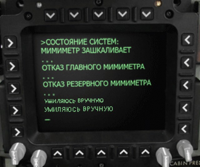 Маленький дикобраз кушает кукурузку