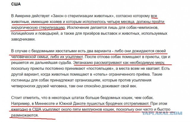 Власти Забайкалья предложили изменить закон, после смерти ребенка от бездомных собак