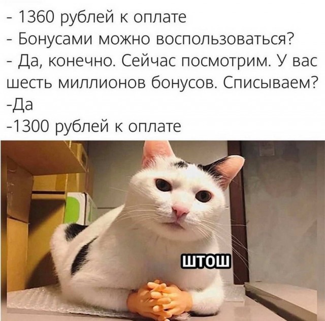 Картинки и мемы для настроения 27.01.2022