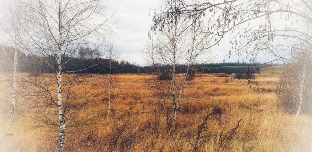 Мое небольшое увлечение. Мобильная фотография