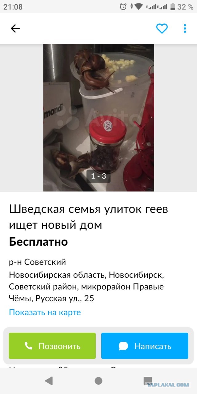 Вчера на Авито. Отдают сокровище бесплатно!