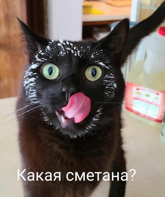 Картинки и мемы для настроения - 21