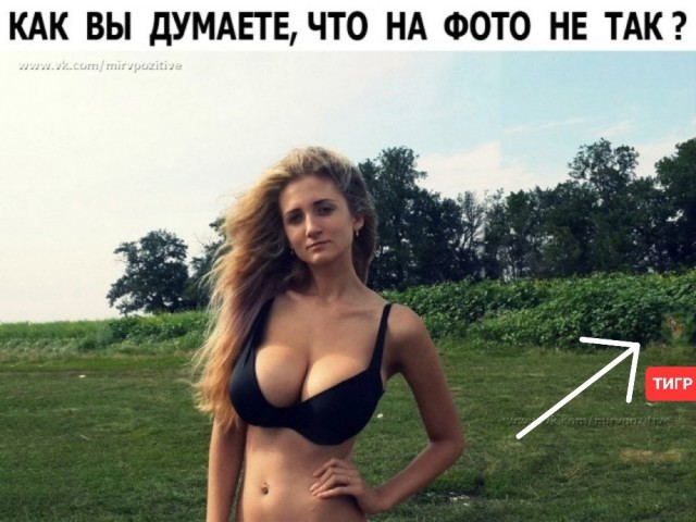 Картинки с комментариями 02.06.2022