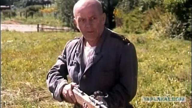 Хитрый бобёр