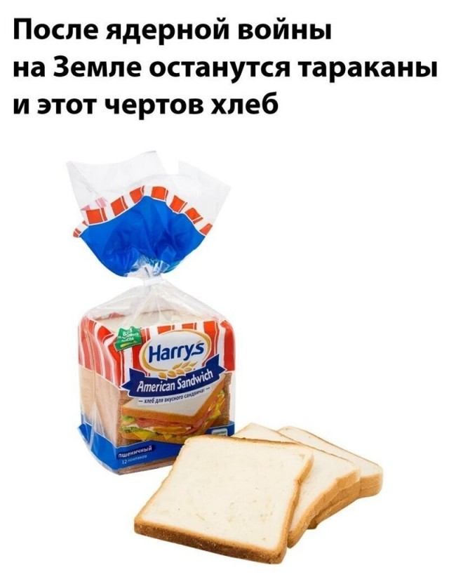 Немного позитива на утро 26.10.2022