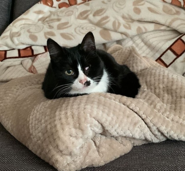 Пришел сегодня вот такой милаха!