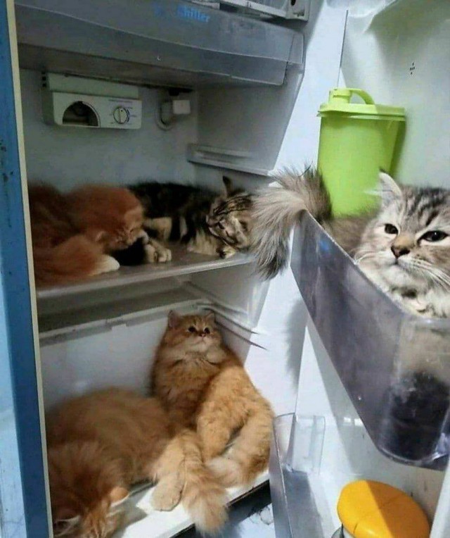 И так бывает