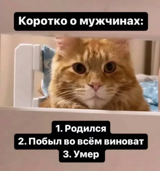 Картинки и мемы. Выходные близко...