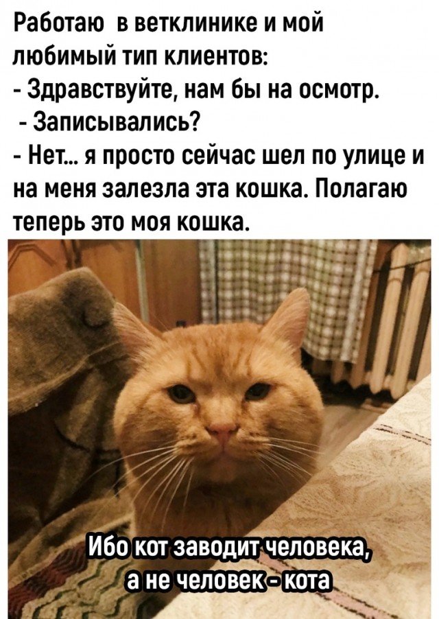 Так себе картинки 04.02.23