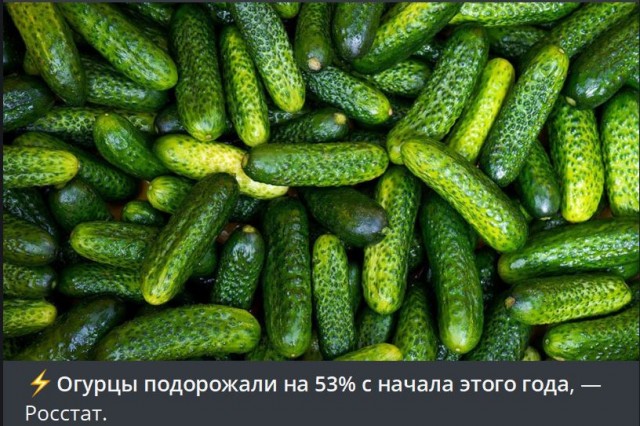 Победная поступь идиотизма по планете – том 8