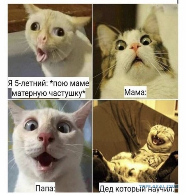 Победная поступь идиотизма по планете – том 8