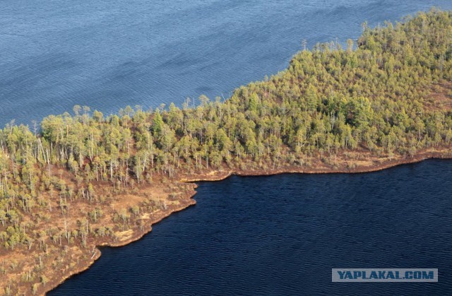 Сибирские перекрёстки