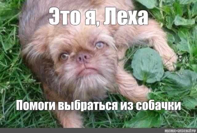 Я тёща. Проблемы с зятем. Дайте совет