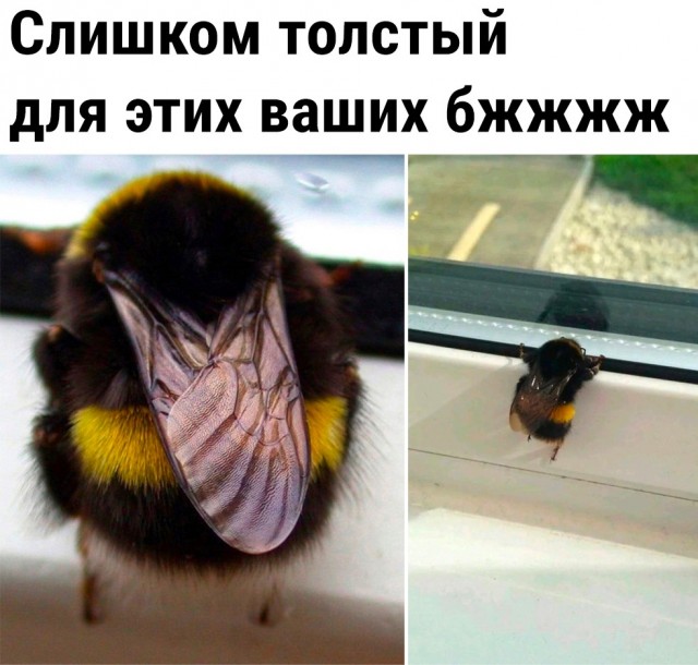 Так себе картинки 22.06.23