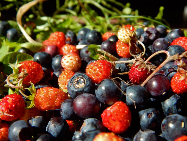 Уральское лето моими глазами