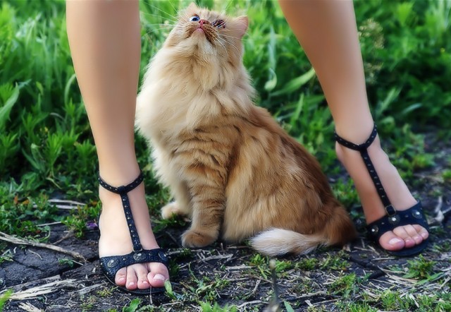 Юпитер, сиськи, лето