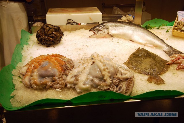 Рынок Бокерия