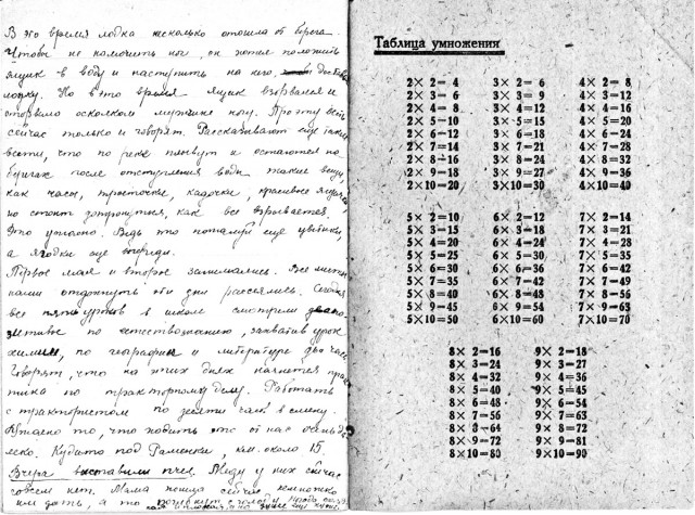 Дневник Зайцевой Любови