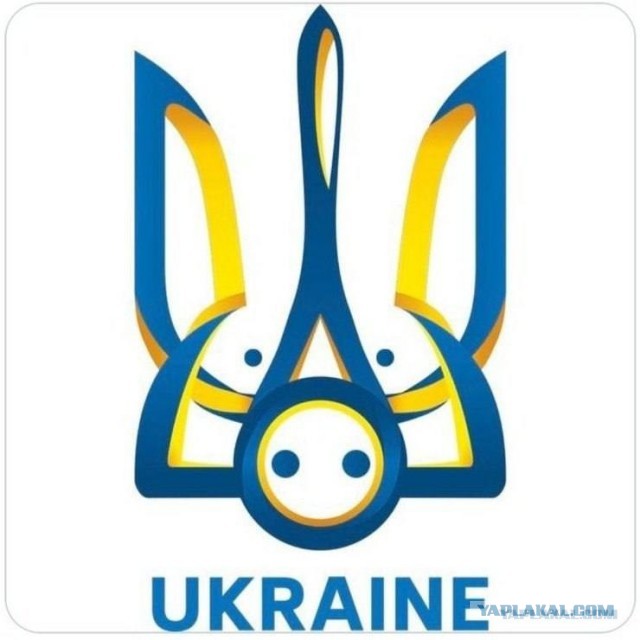 Немецкая полиция ищет уличного