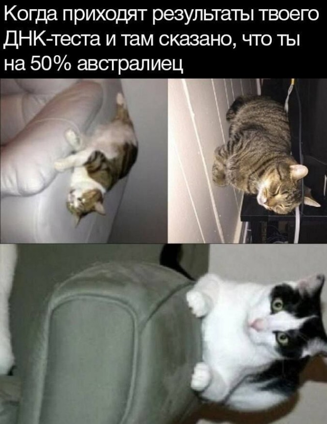 Никакие картинки