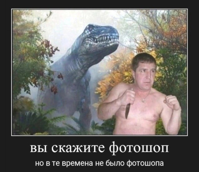 Картинки из мусорной корзины 14.07.24