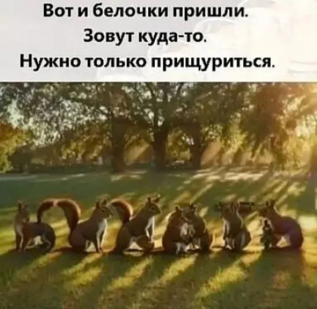 Завалялось тут случайно немного забавных картинок