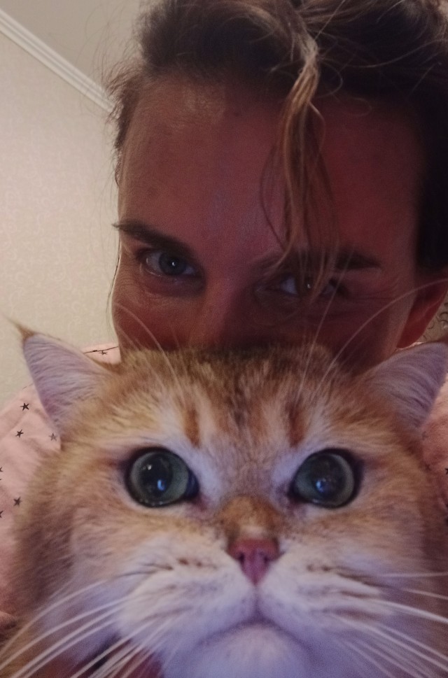 С Котовторником!
