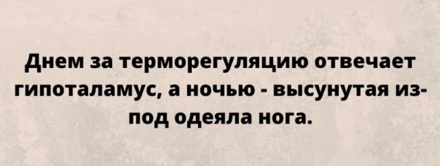 Так себе картинки 14.11.24
