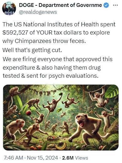 Департамент эффективности правительства США приступил к аудиту