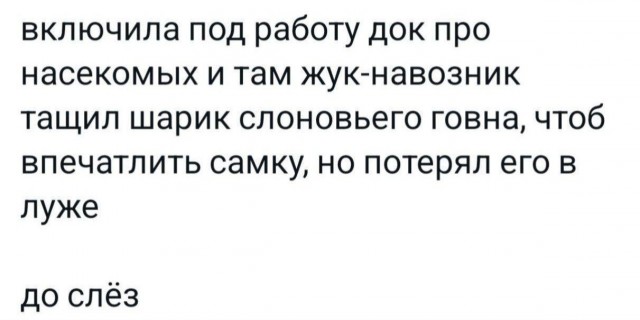 Всего понемногу. От 25.11.2024