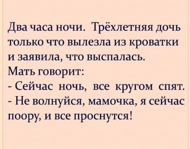 Весёлый полтишок 19.12.24