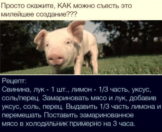 Картинки разные с надписями и без