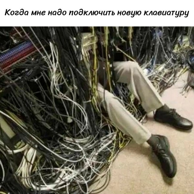 Так себе картинки 25.02.25