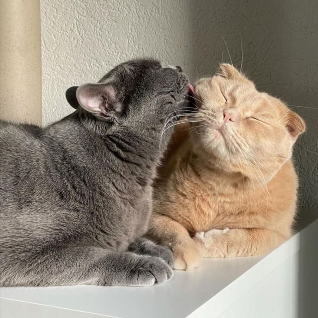 Сегодня  отмечается День благодарности мужу