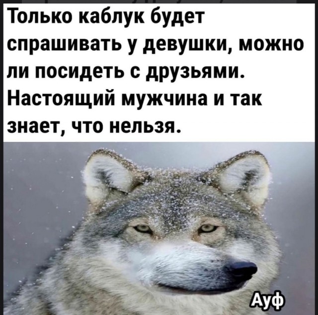 Доброе утро, падонги!