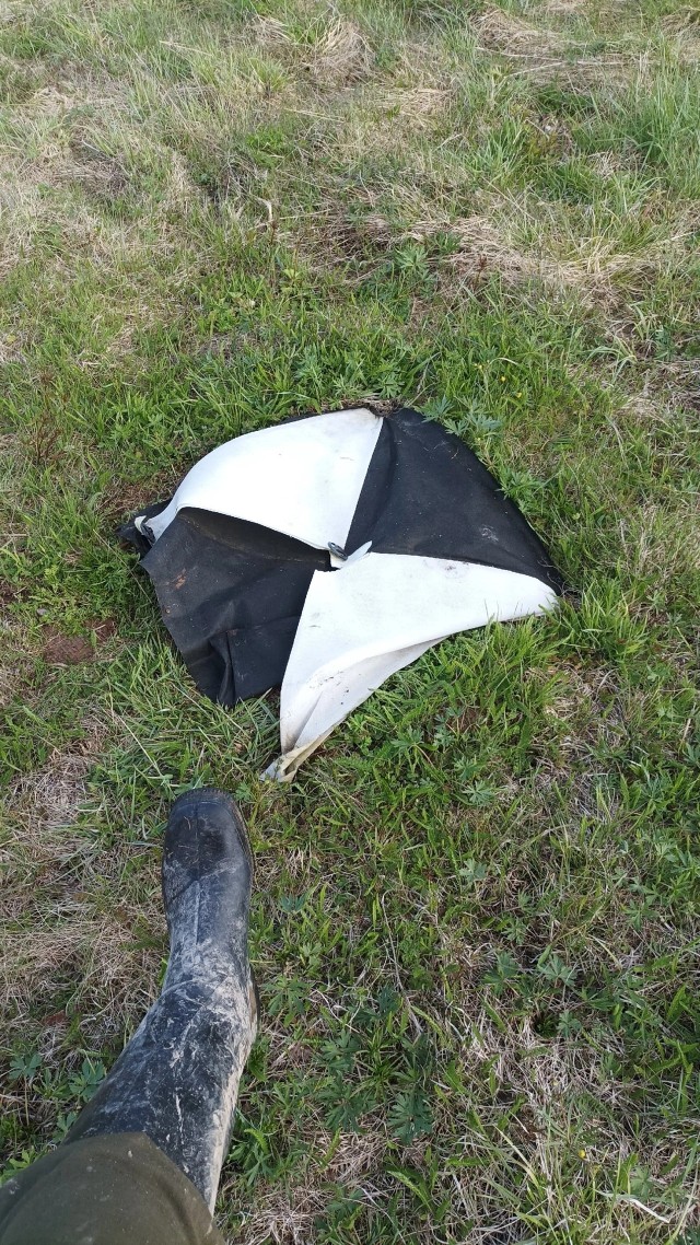 Сорвать или оставить?