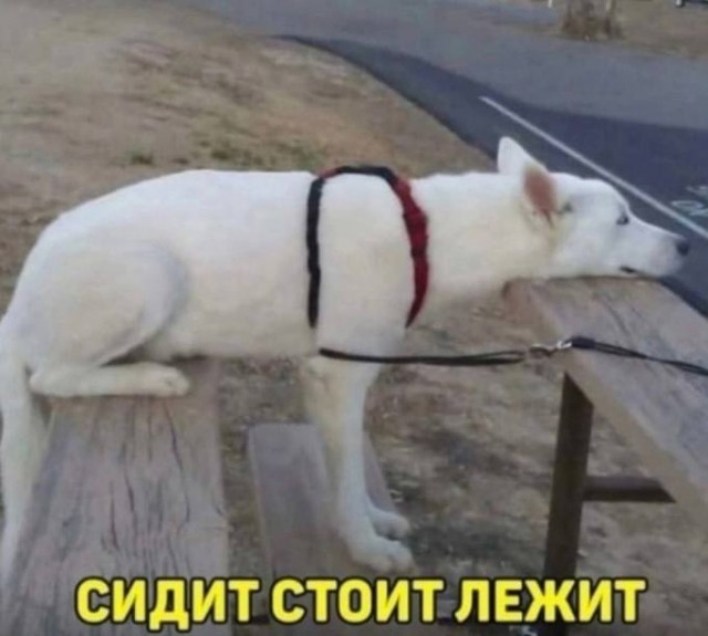 Нуштош 04.07.2025. Обитатели обители теней (s4e2)